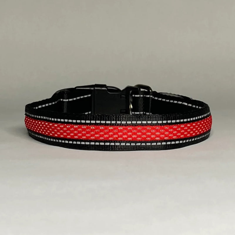 LED Dog Collar