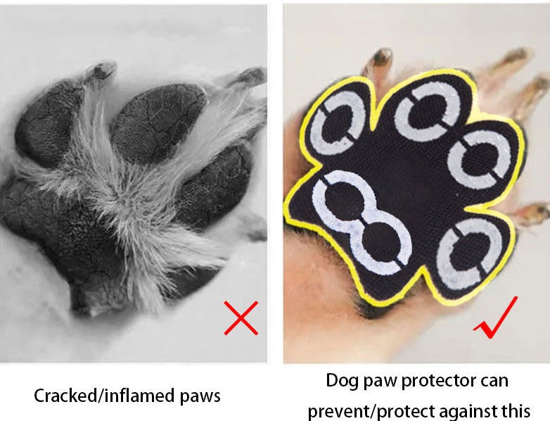 Paw Protectors